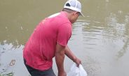 Dukung Program Ketahanan Pangan, Ketua FPII Setwil Sulsel Tebar 2.500 Benih Ikan di Maiwa Enrrkang